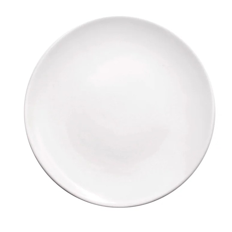 WSA 25cm Dinner Plate 1 WSA 25cm Dinner Plate